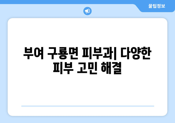 충청남도 부여군 구룡면 피부과 추천| 믿을 수 있는 의료 서비스 찾기 | 부여, 구룡면, 피부과, 진료, 추천