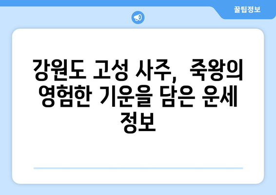 강원도 고성군 죽왕면 사주 | 지역 특색 담은 운세 정보 |  고성 사주, 죽왕 사주, 운세, 점집, 신점