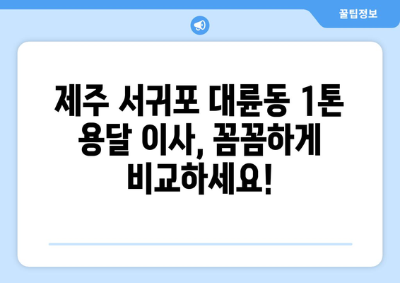 제주 서귀포시 대륜동 1톤 용달 이사 전문 업체 비교 가이드 | 저렴하고 안전한 이사, 견적 비교는 여기서!