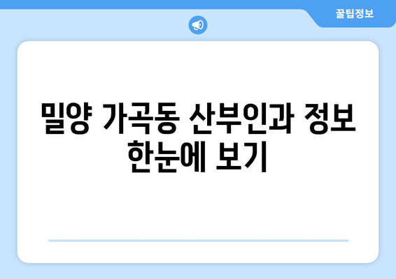 밀양 가곡동 산부인과 추천| 믿을 수 있는 병원 찾기 | 밀양시, 산부인과, 진료, 병원 정보