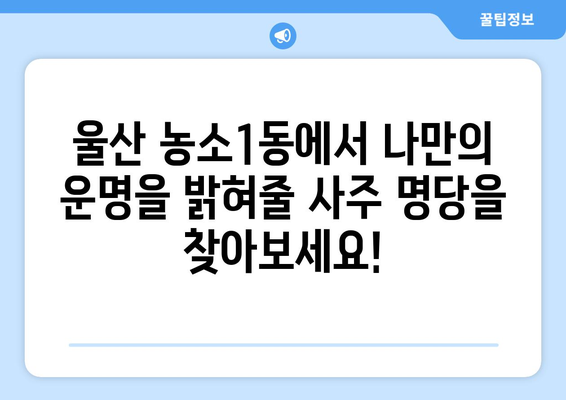 울산 북구 농소1동에서 찾는 나만의 사주 명당 | 울산 사주, 농소1동, 운세, 신점, 타로