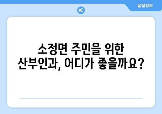 세종시 소정면 산부인과 추천| 꼼꼼하게 비교하고 선택하세요 | 세종시 산부인과, 소정면 병원, 여성 건강