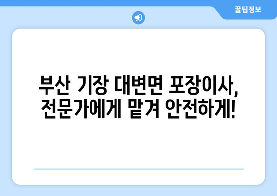 부산 기장 대변면 포장이사 전문 업체 추천 | 이삿짐센터 비교, 가격, 후기, 견적
