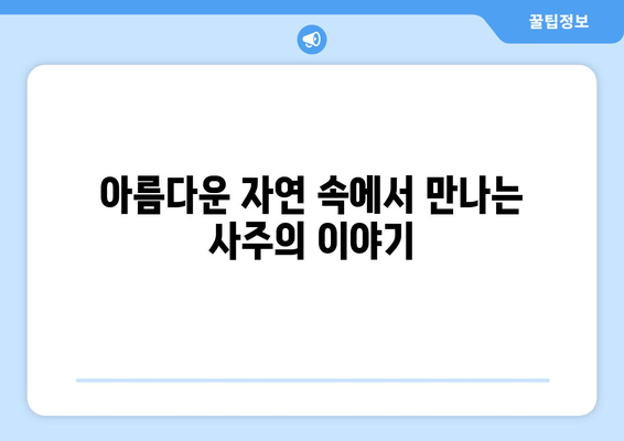 전라북도 무주군 부남면 사주| 역사와 문화를 만나다 | 무주, 부남면, 사주, 역사, 문화, 관광