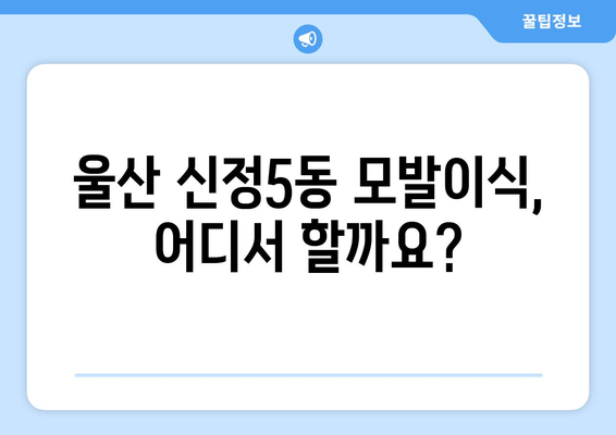 울산 남구 신정5동 모발이식 추천 병원 & 가격 비교 가이드 | 모발 이식, 탈모 해결, 비용