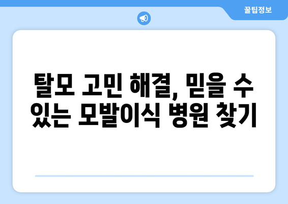 울산 남구 신정5동 모발이식 추천 병원 & 가격 비교 가이드 | 모발 이식, 탈모 해결, 비용