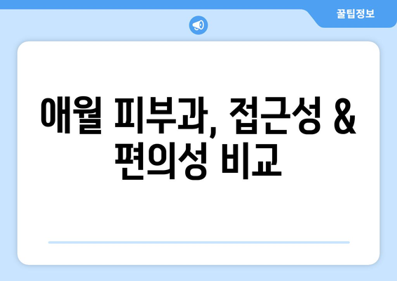 제주도 제주시 애월읍 피부과 추천| 꼼꼼하게 비교 분석한 5곳 | 애월, 피부과, 추천, 후기, 가격